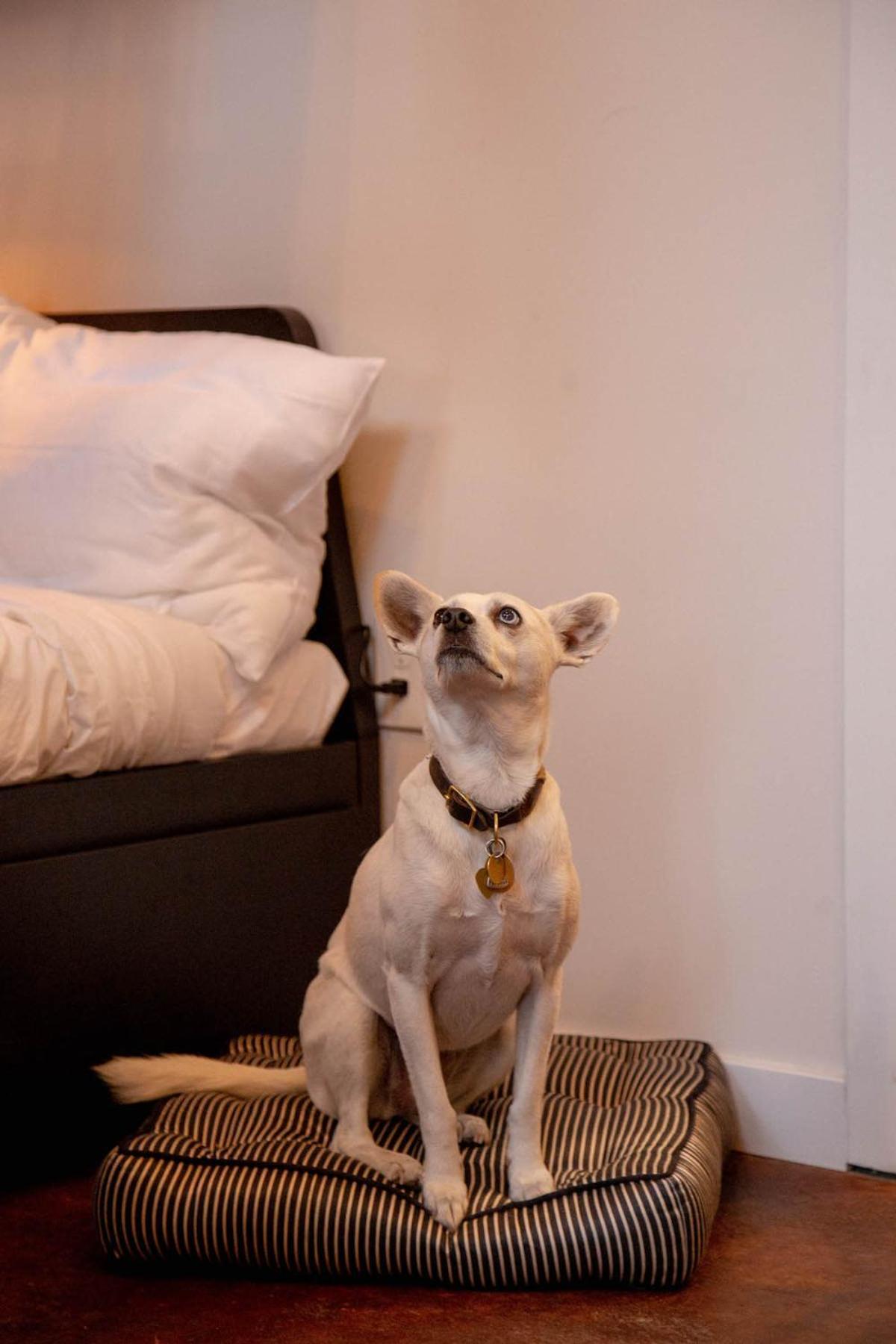 Reading Viaduct Loft, City Center, Contactless Check In فيلادلفيا المظهر الخارجي الصورة